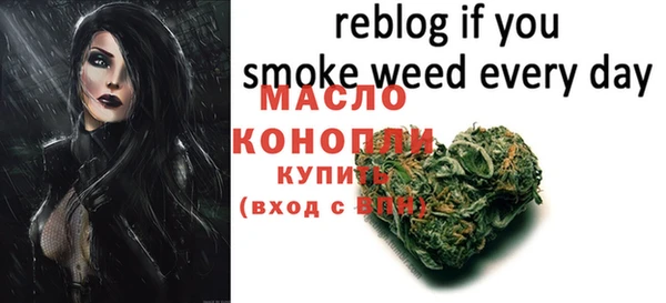 гашик Няндома