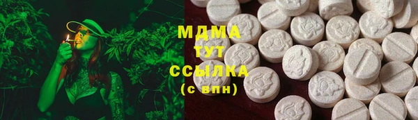 гашик Няндома