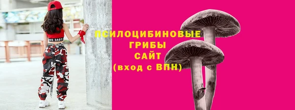 гашик Няндома