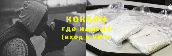 гашик Няндома