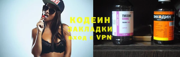 гашик Няндома