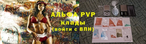 гашик Няндома