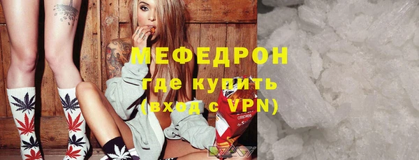 гашик Няндома