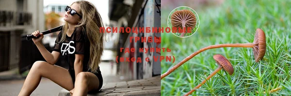 прущий лед Осинники