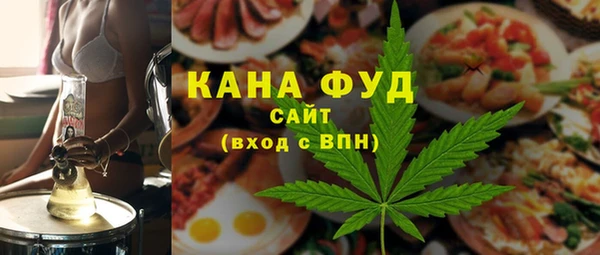 гашик Няндома