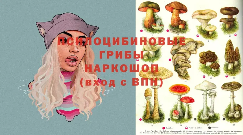 Галлюциногенные грибы MAGIC MUSHROOMS  Иннополис 