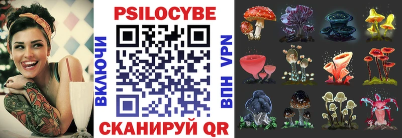 darknet телеграм Иннополис Псилоцибиновые грибы MAGIC MUSHROOMS